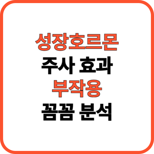제목을 입력해주세요 001 2025 08 22T144728.180