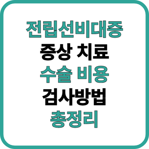 제목을 입력해주세요 001 65
