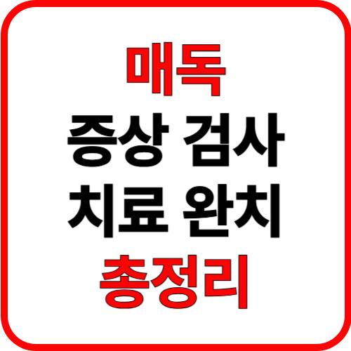 제목을 입력해주세요 001 2025 09 01T221324.009
