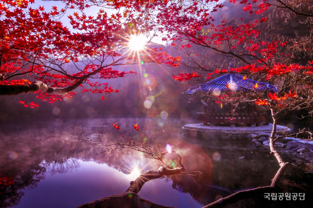 19033 입선 내장산 우화정 김선택 D