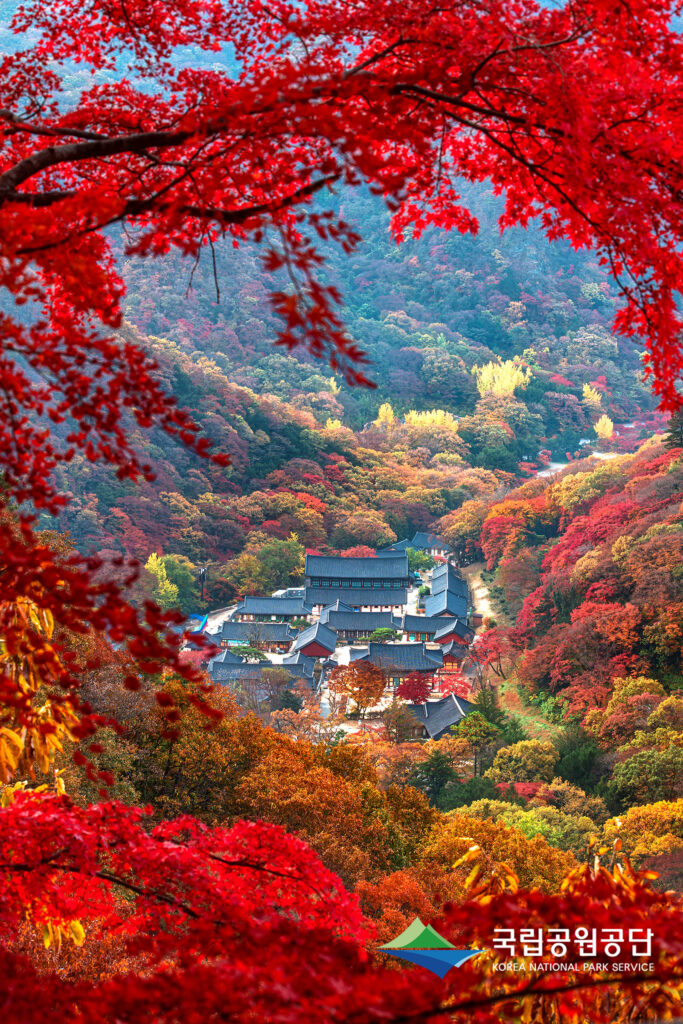 23032 일반부문1 입선 내장산 프레임 속 백양사 김대일